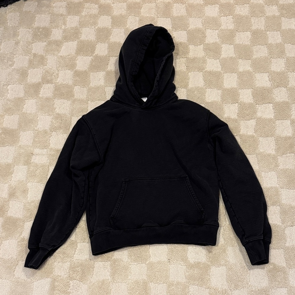 Aritzia TNA heavy weight hoodie